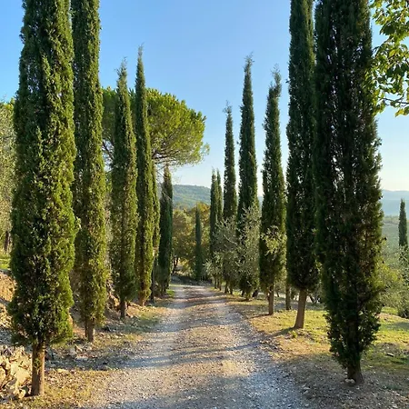 Celle Di Lecchi Padronale Сasa de vacaciones