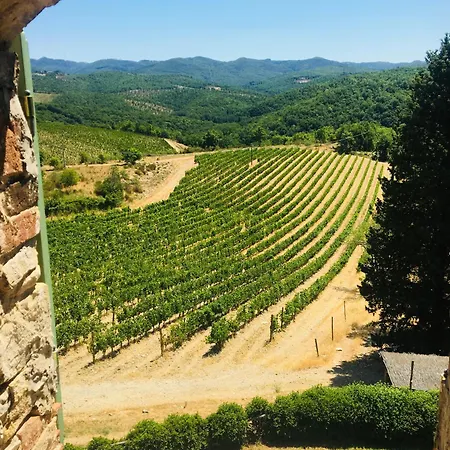 Celle Di Lecchi Padronale
