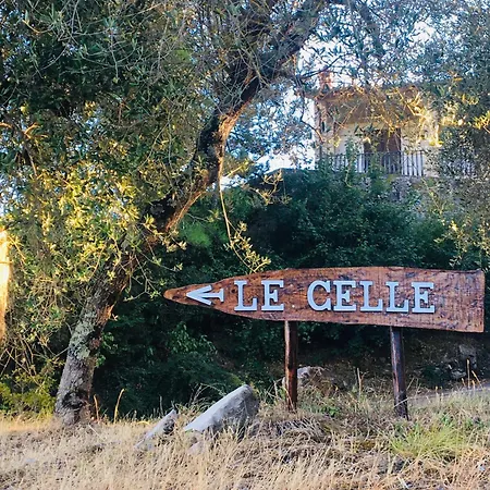 Сasa de vacaciones Celle Di Lecchi Padronale San Sano