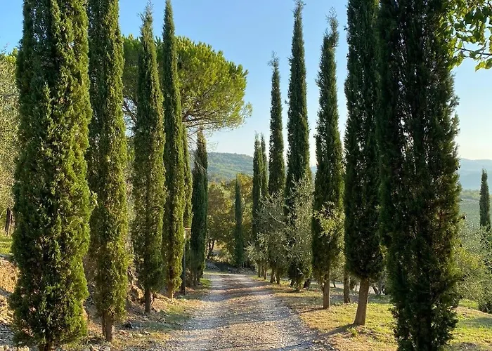 Celle Di Lecchi Padronale Nyaraló