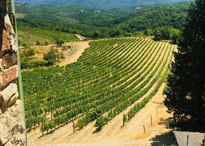 Celle Di Lecchi Padronale